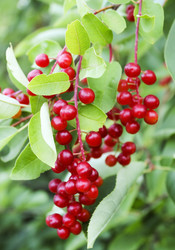 Similar image 10860318