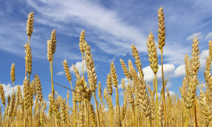 Similar image 10860322