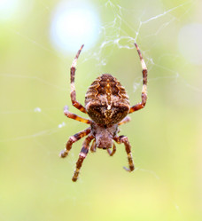 Similar image 10860328