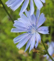 Similar image 10860330