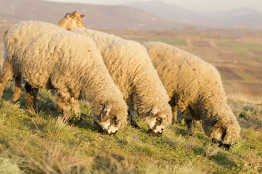 Similar image 10856746