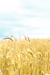 Similar image 10856479