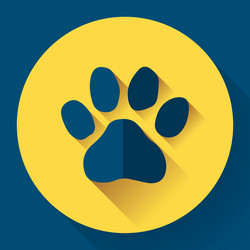 Similar image 10856498