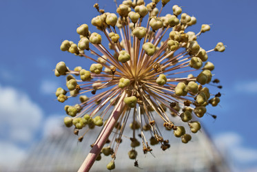 Similar image 10856508