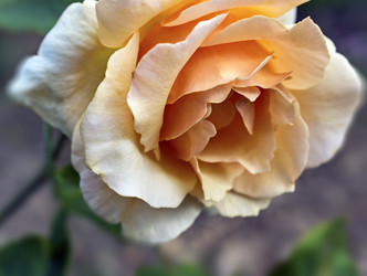 Similar image 10856512