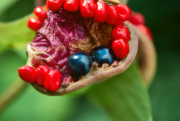 Similar image 10856527