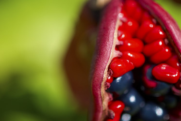 Similar image 10856530