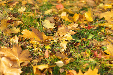 Similar image 10856579