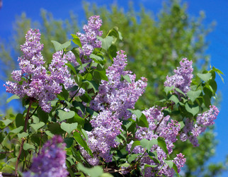 Similar image 10856582