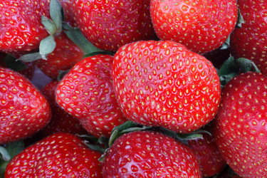 Similar image 10856603