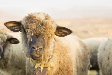 Similar image 10857089