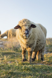 Similar image 10857091