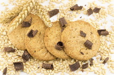 Similar image 10857425