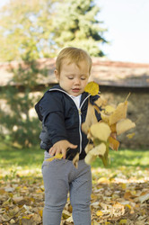 Similar image 10856883