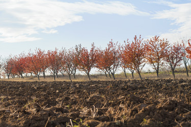 Similar image 10856900