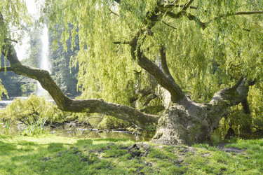 Similar image 10857024