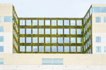 Similar image 10857027