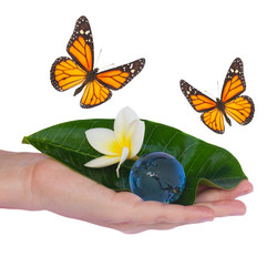 Similar image 10861098