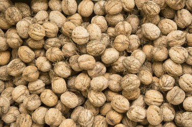 Similar image 10856878