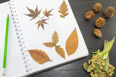 Similar image 10857031