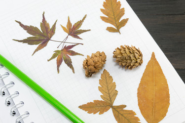 Similar image 10857032