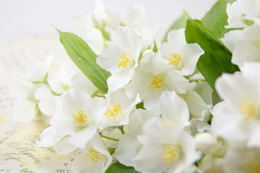 Similar image 10857034