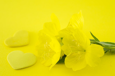 Similar image 10857035