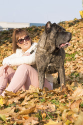 Similar image 10857038