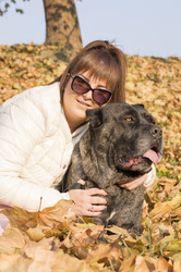 Similar image 10857039