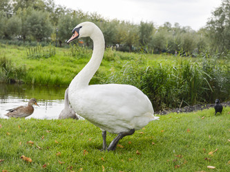 Similar image 10857130