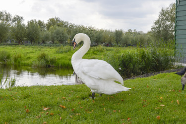 Similar image 10857132