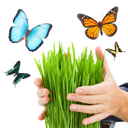 Similar image 10861079