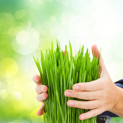 Similar image 10861080