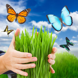 Similar image 10861099