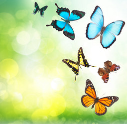 Similar image 10861100