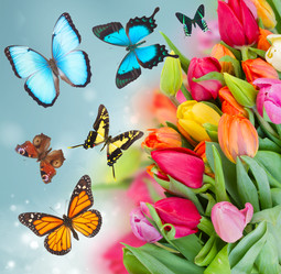 Similar image 10861101