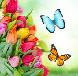 Similar image 10861102