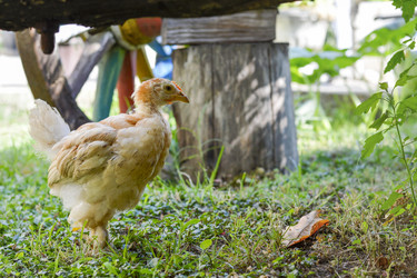 Similar image 10857134