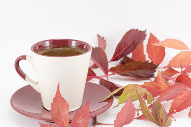 Similar image 10857433