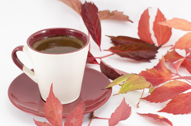 Similar image 10857269