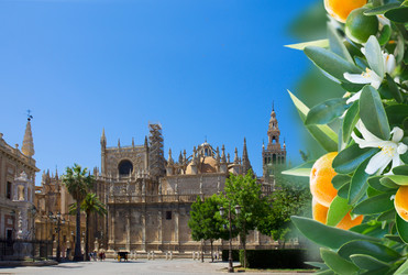 Similar image 10861111