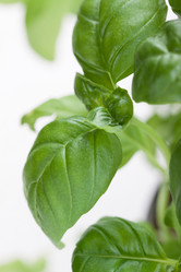 Similar image 10860826