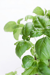 Similar image 10860845