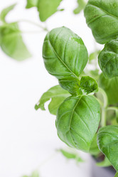 Similar image 10860894