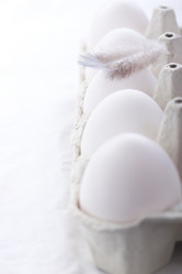 Similar image 10860922