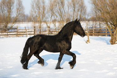 Similar image 10862208