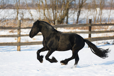 Similar image 10862212