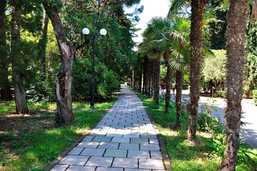 Similar image 10857582