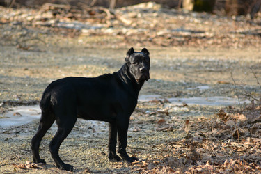 Similar image 10857486