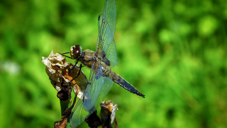 Similar image 10857641